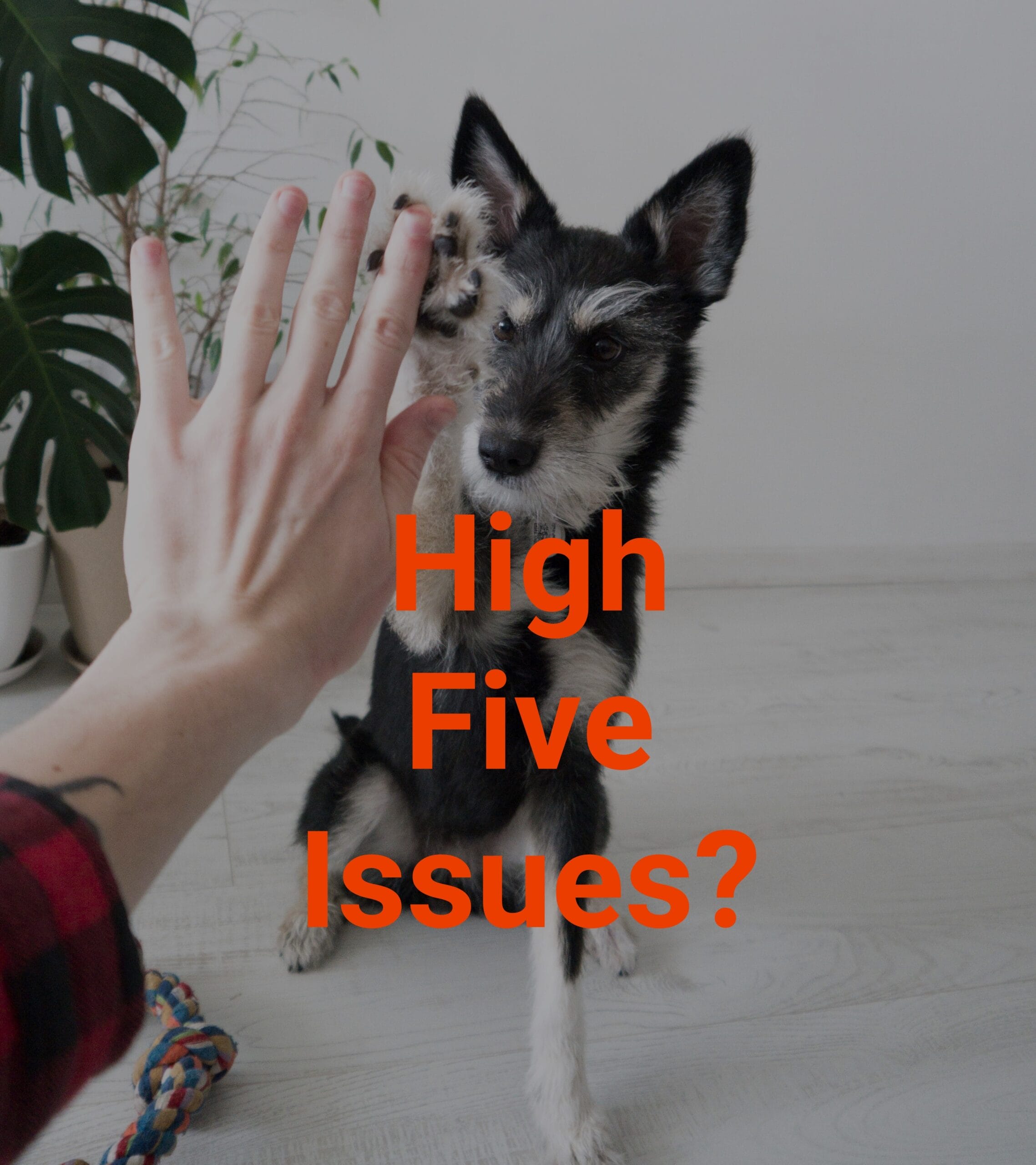 HighFiveIssues scaled