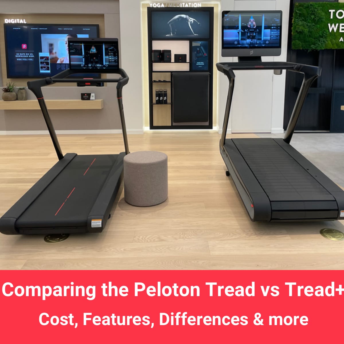 Peloton Tread vs Tread Plus Comparison of feature differences. Which Treadmill should you buy Peloton Buddy