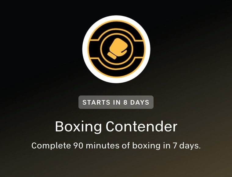 Boxing Contender Challenge