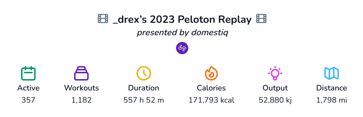 Domestiq Replay tool showing overall 2023 statistics.