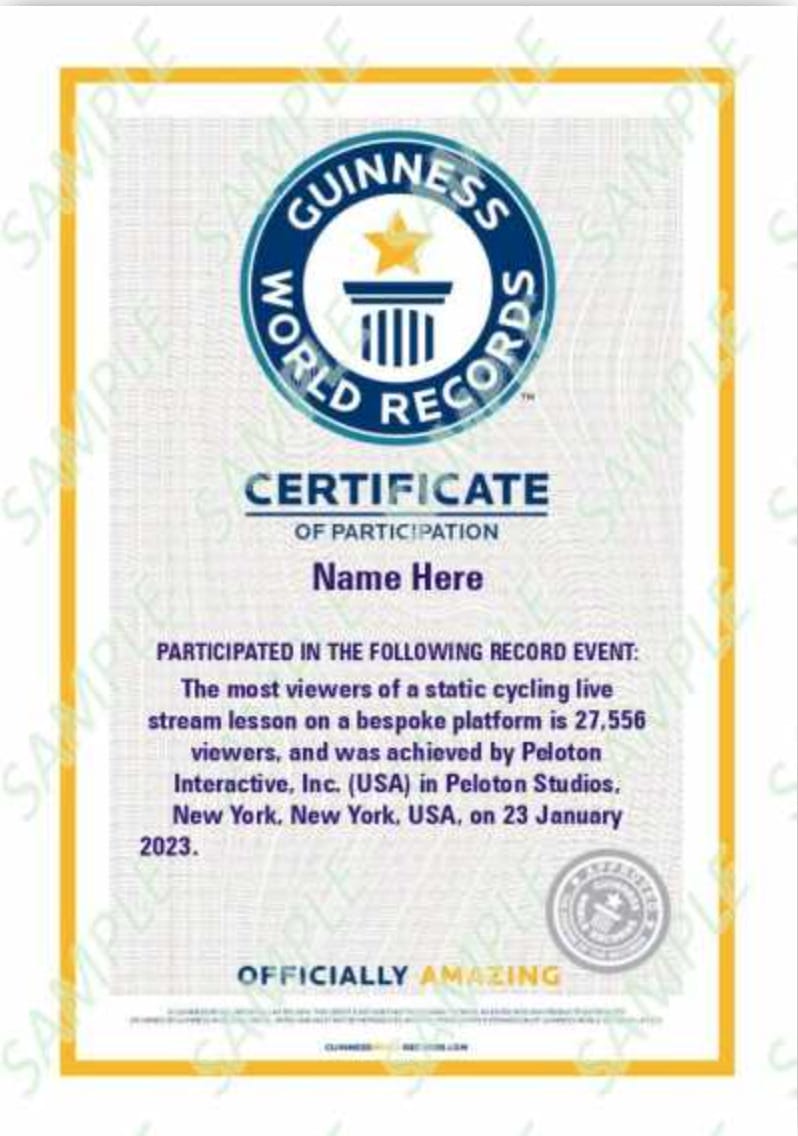 Guinness World Records certificate of participation example